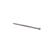 GRIP-RITE Common Nail, 8 in L, 100D, Steel, Hot Dipped Galvanized Finish 8HGSPK